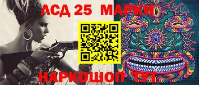 индика Мариинск